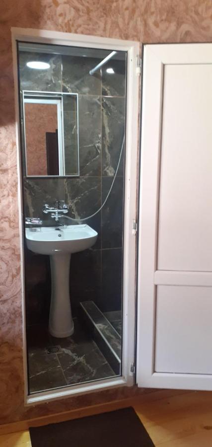 Kaxa Shorena Guest-House Kazbegi Extérieur photo