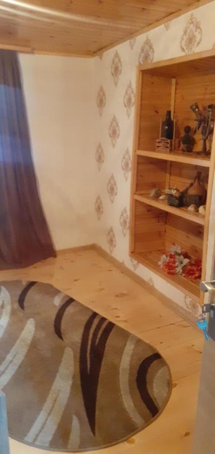 Kaxa Shorena Guest-House Kazbegi Extérieur photo